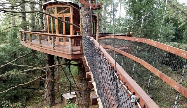 Secluded Treehouse Hideaway with Firepit and Forest Views in Bodega Bay, California in Bodega Bay