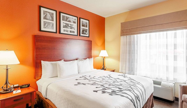 Sleep Inn & Suites Tyler South
