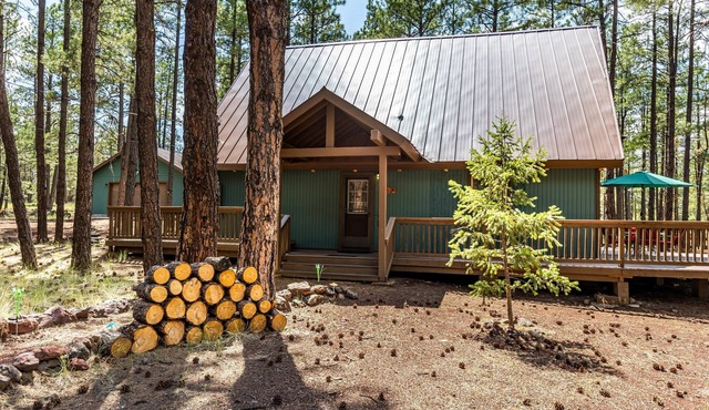 Snow Time Whimsical Forest Retreat for Family, Friends w/AC