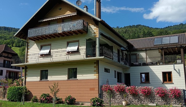Spacious, comfortable apartment between Strasbourg and Colmar in Steige
