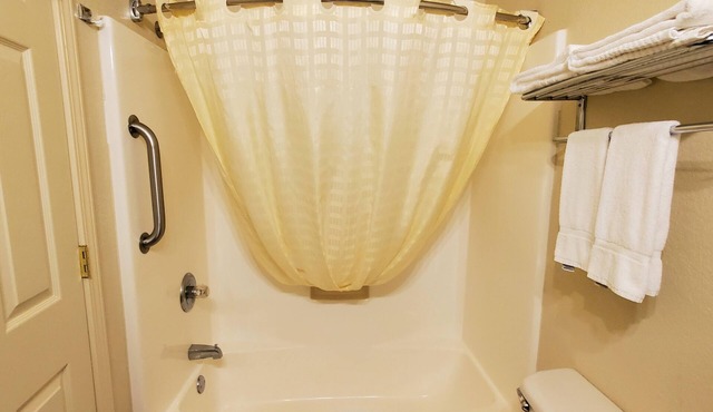 Spacious King Suite in Hotel