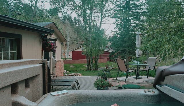 Spacious, Unique Creekside Cabin with Private hot tub