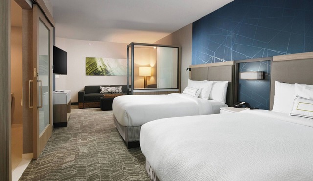 SpringHill Suites by Marriott Dallas DFW Airport South/CentrePort