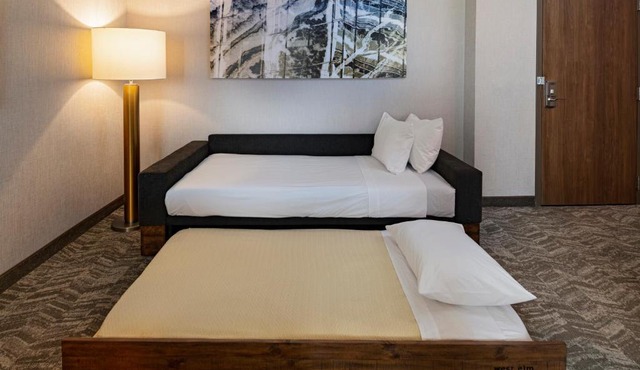 SpringHill Suites by Marriott Dallas Richardson/University Area