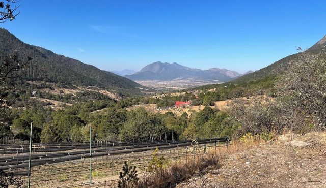 Stay in an RV inside a Vineyard. Unique experience