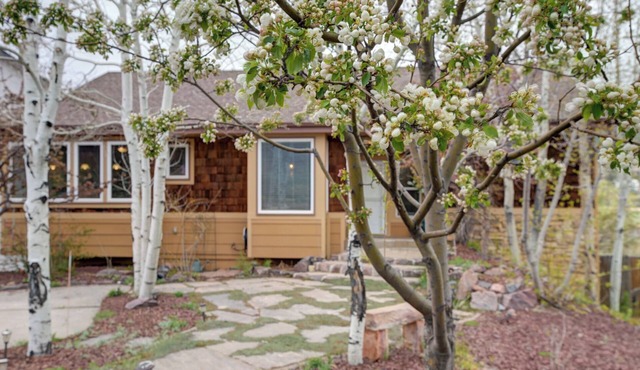 Step inside our carefully crafted Oasis