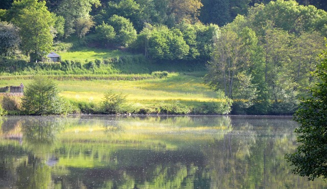 Studio Apartment 'Au Bord De L'eau' in CHAMBON SUR VOUEIZE