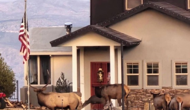 Stunning 3 bedroom walk out basement above Kingman AZ in the Hualapai Mountains