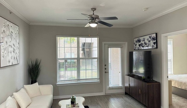 Stylish 1BR in Magnolia Easy Access to Woodlands