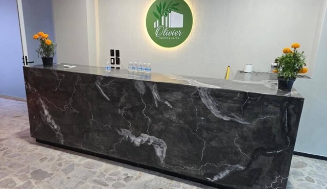 Suites & Lofts Olivier