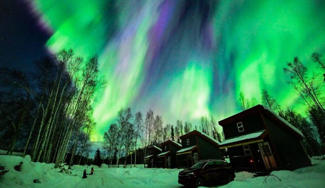 The Fancy Fox - Frontier Village in North Pole