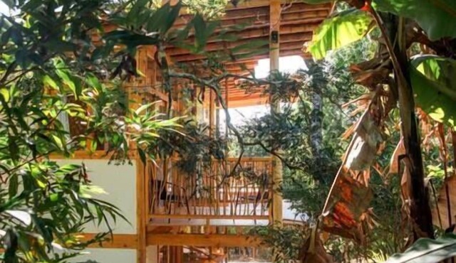 The Lodge at Casa Curativa