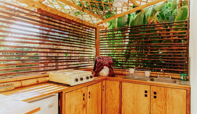 The Seed Habitat
