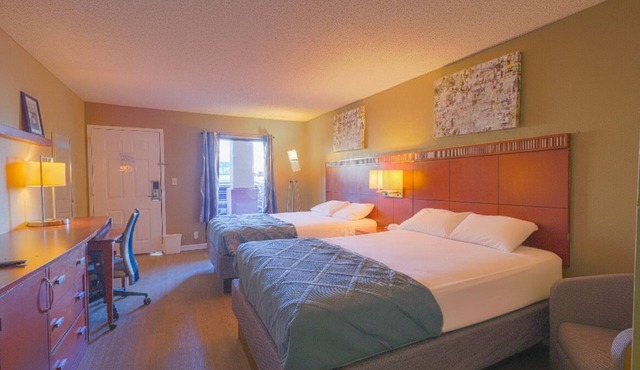 Three Vibrant & Comfortable 2 Queen Bed Units Perfect for Group Travelers