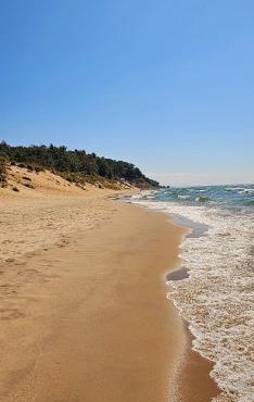 Tiny Digs Lakeshore - Tiny House Lodging in Muskegon
