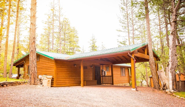 Tonto Creek Mountain Cabin - Great Views with Hot Tub and WiFi