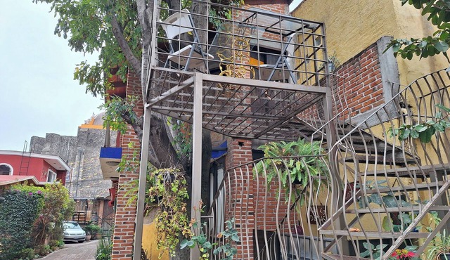 Tree House by Majikal B&B