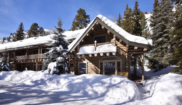 Vail Log Cabin w/Beautiful Creek Views, Free Town Shuttle and Slope Access