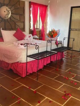 Wellness Pet Friendly El Secreto