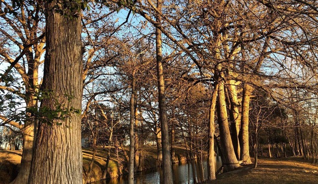 Wild Oak Ranch Cabin and Riverfront