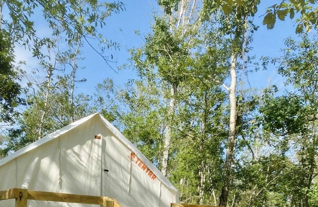 Tentrr State Park Site Louisiana Tickfaw Woodland Camp 