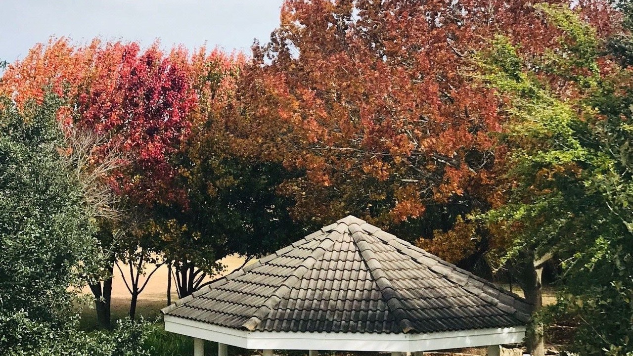 Photo of Buildings in Pflugerville