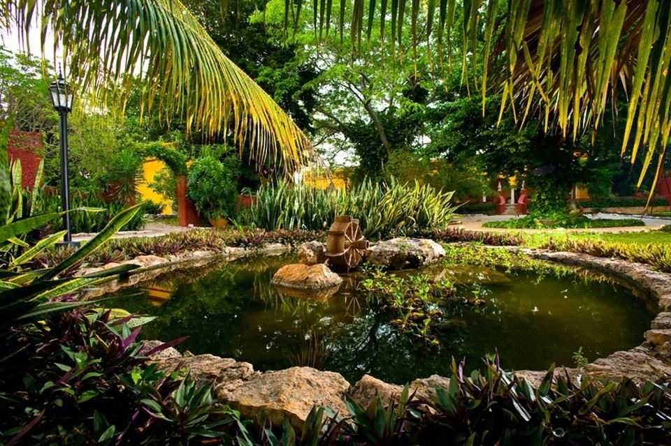 Photo of Outdoor in Merida
