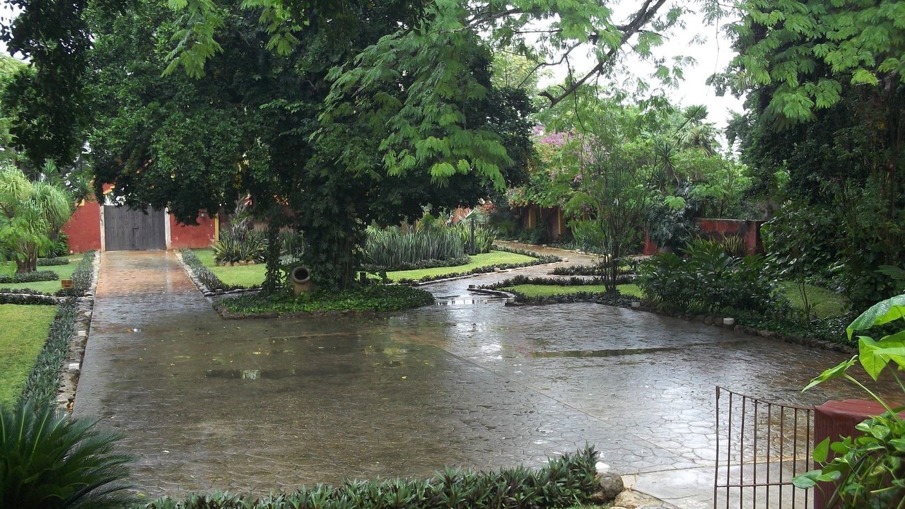 Photo of Others in Merida