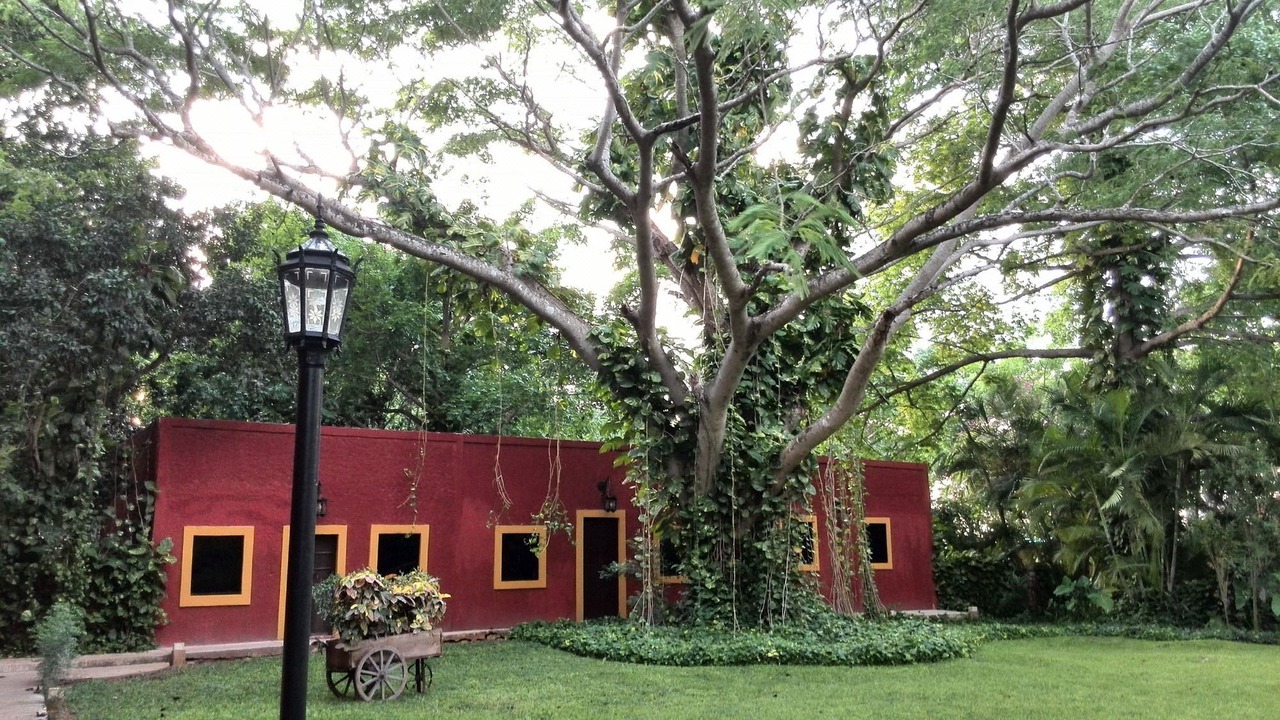 Photo of Buildings in Merida