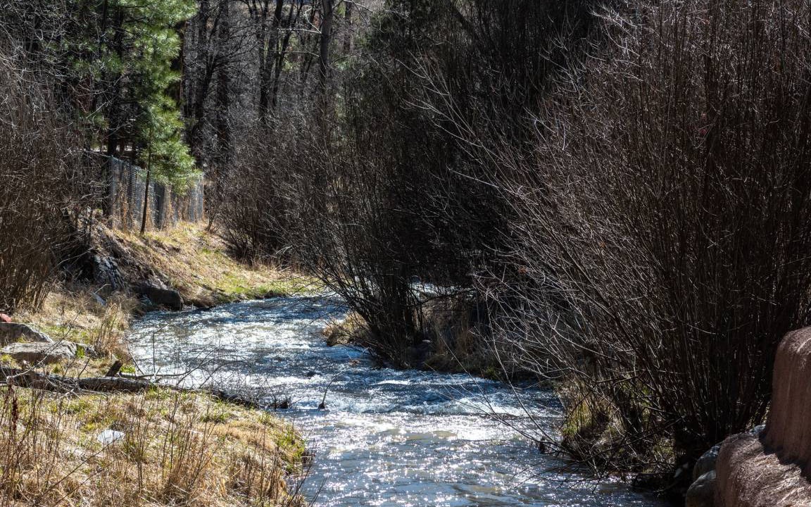 Photo of Others in Ruidoso
