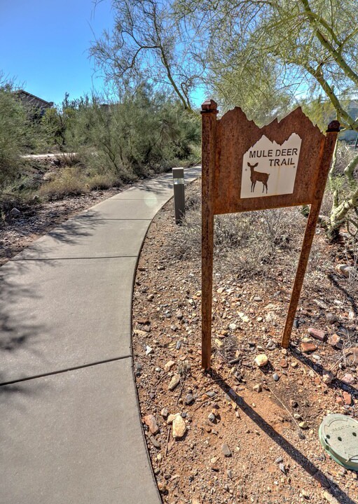 Photo of Buildings in McDowell Mountain Ranch