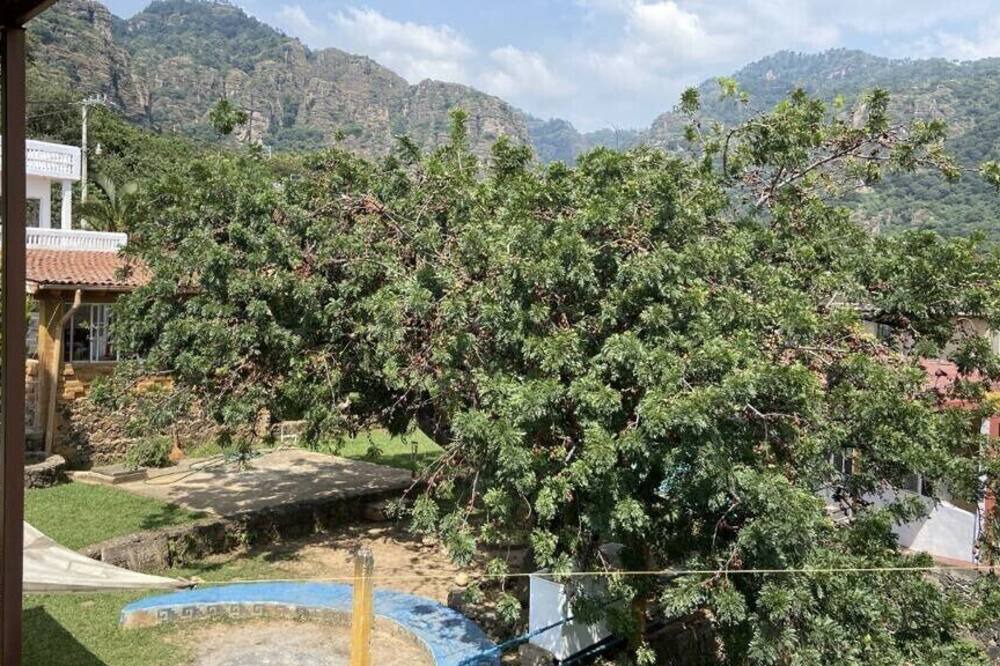 Photo of Outdoor in Amatlan