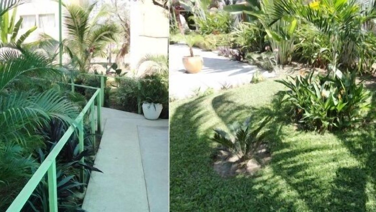 Photo of Outdoor in Crucecita