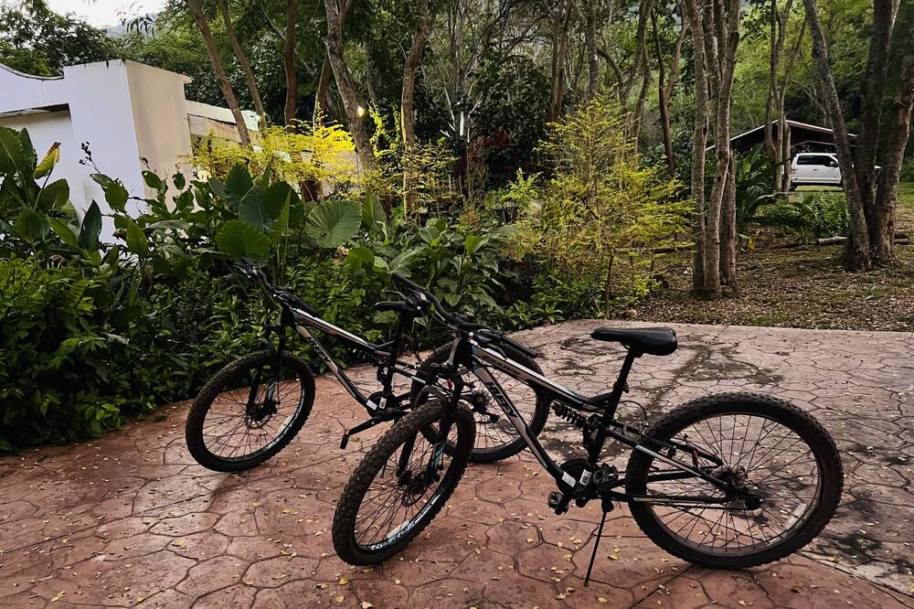 Photo of Outdoor in La Laguna