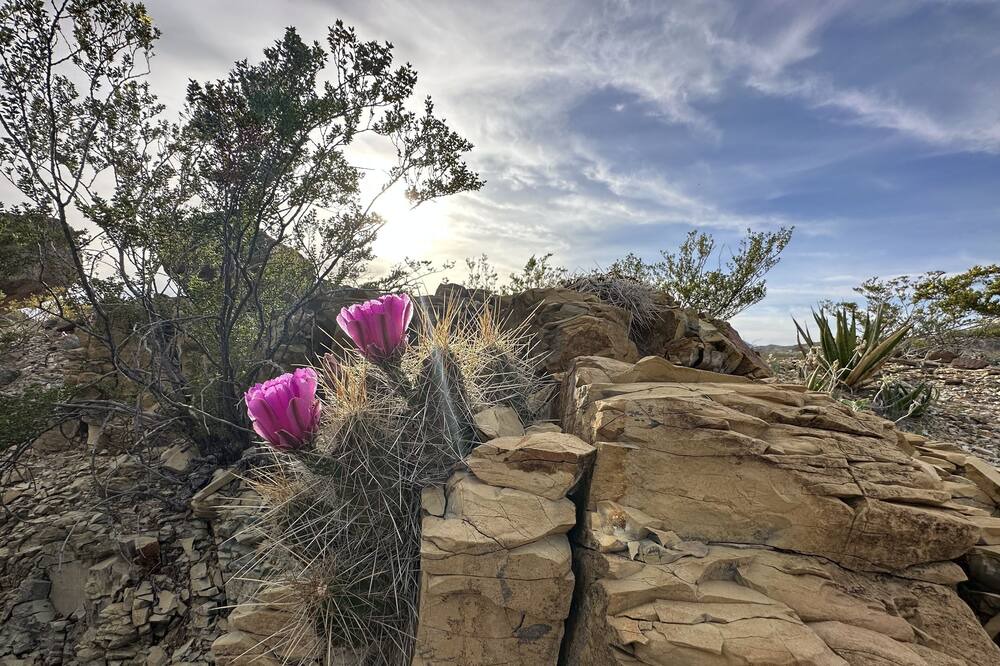 Photo of Outdoor in Terlingua