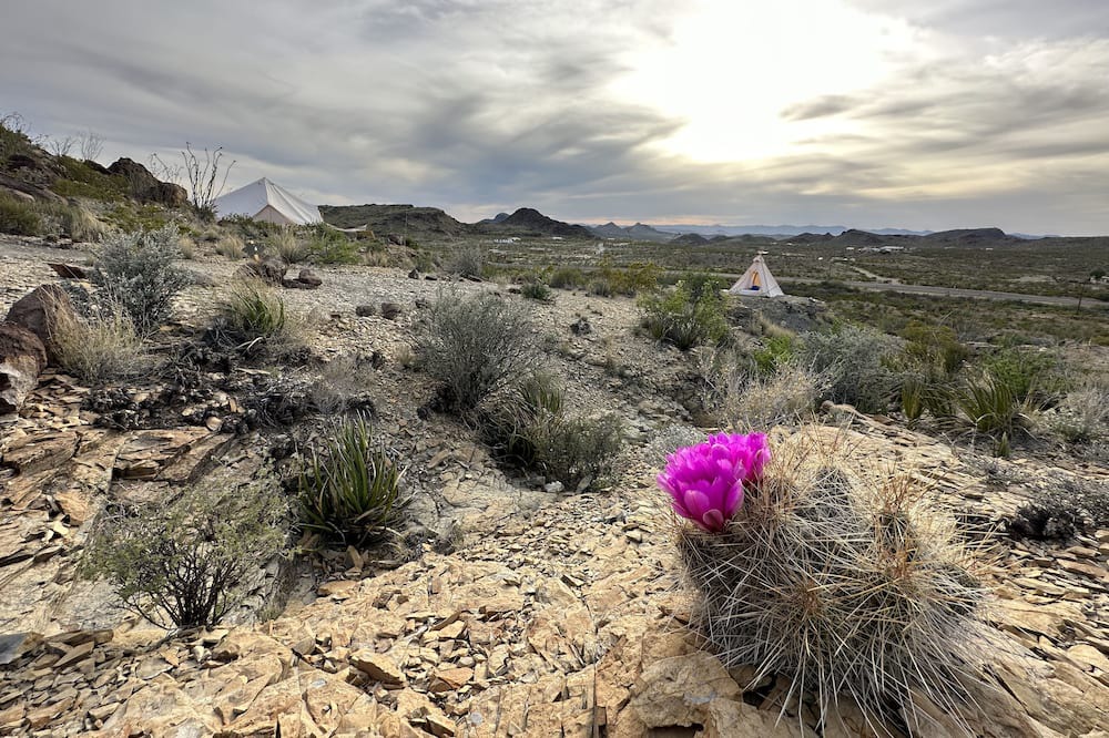 Photo of Others in Terlingua