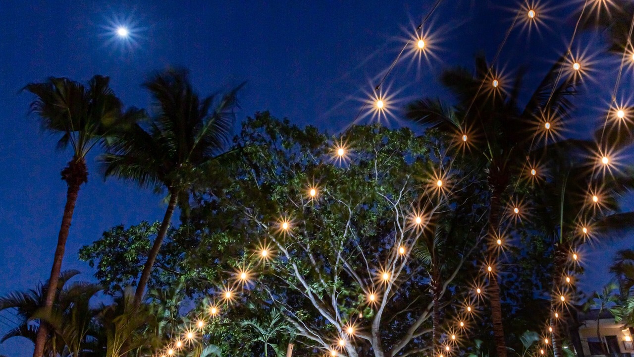 Photo of Outdoor in Puerto Vallarta