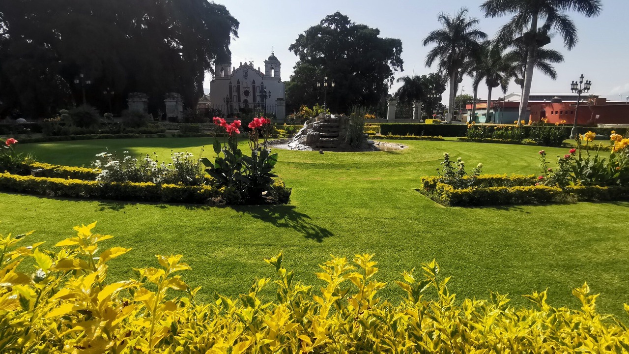 Photo of Others in Oaxaca