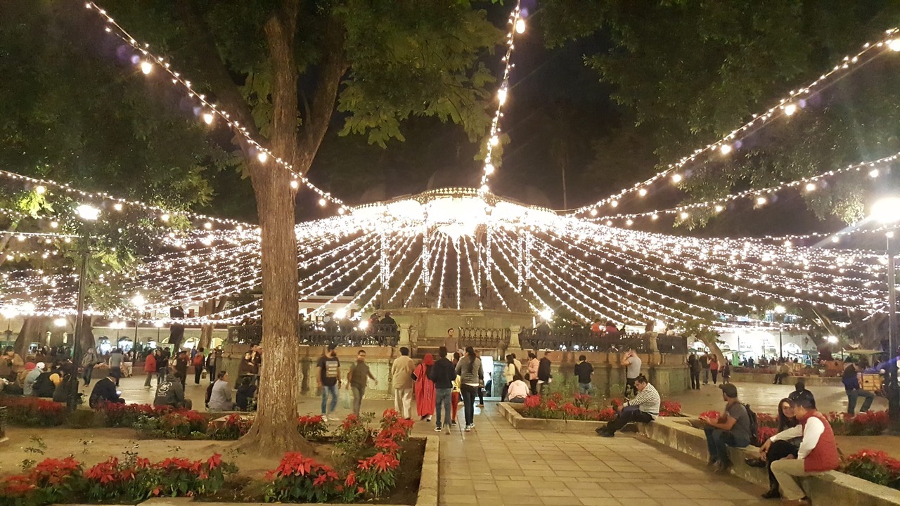 Photo of Others in Oaxaca