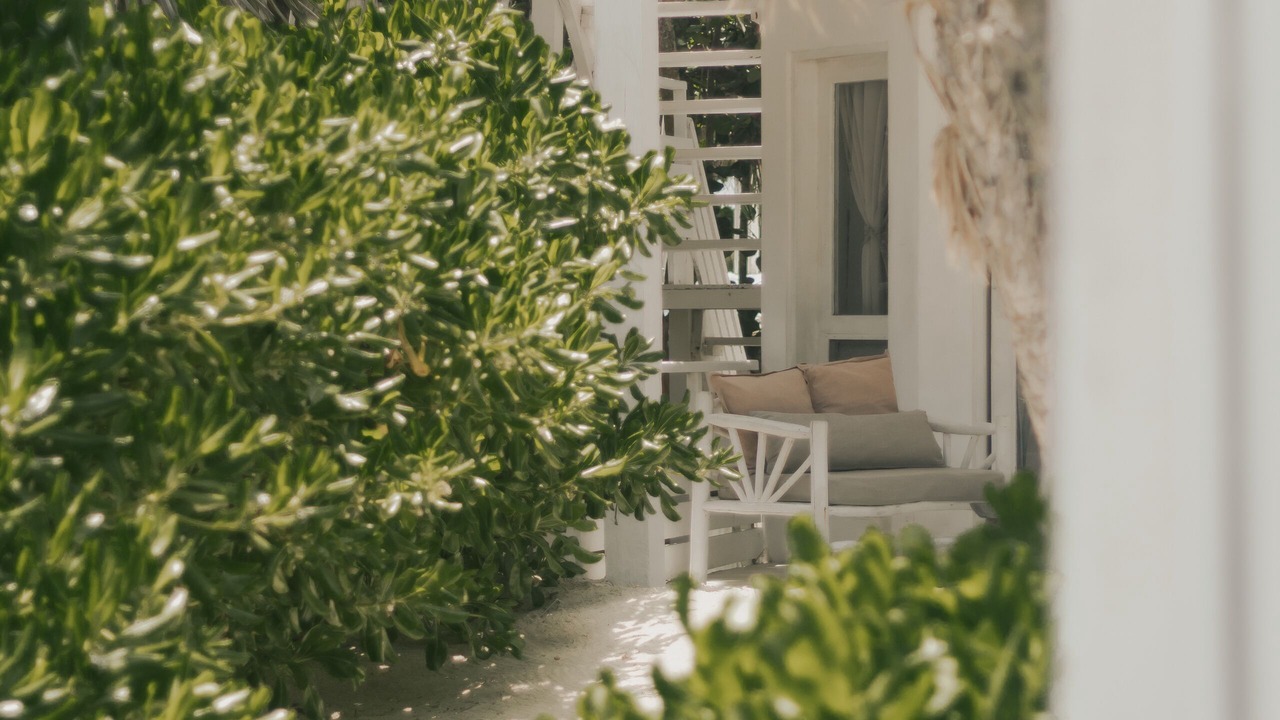 Photo of Outdoor in Zona Hotelera