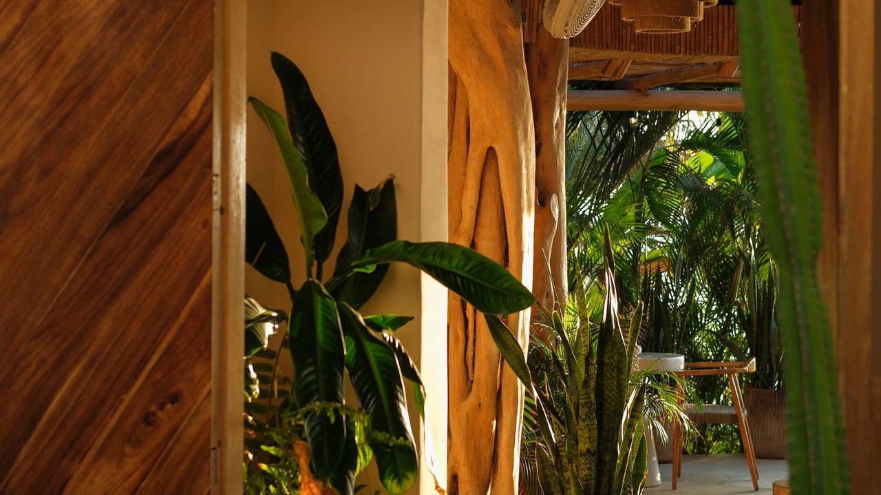 Photo of Others in Sayulita