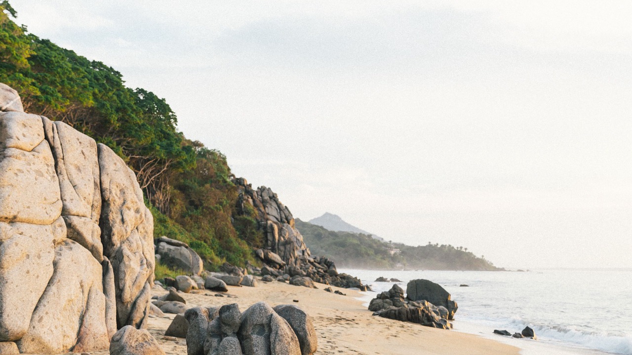 Photo of Others in Sayulita