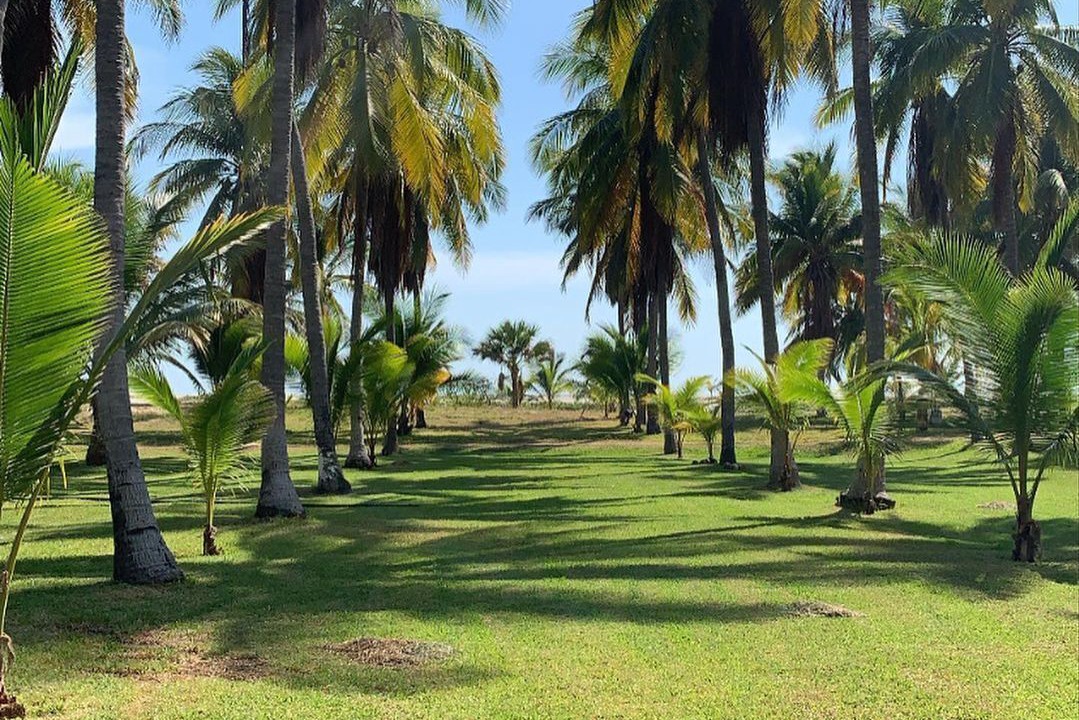 Photo of Outdoor in Puerto Escondido