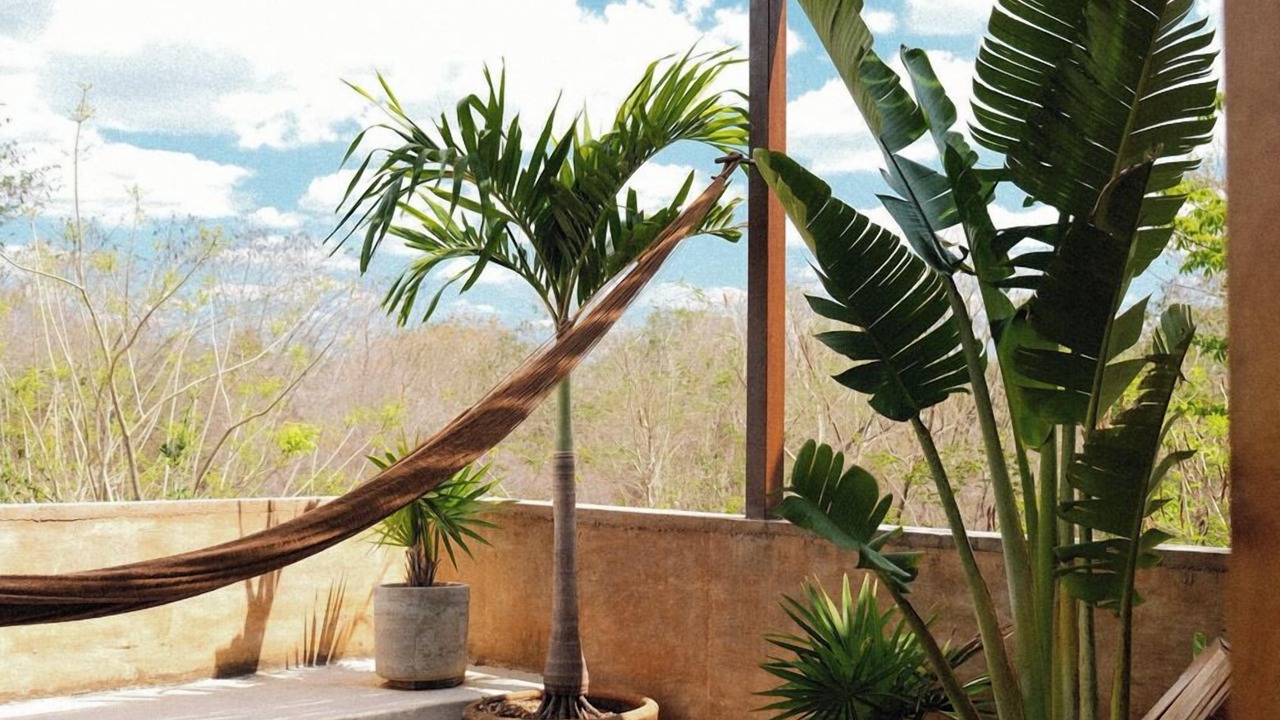 Photo of Patio Balcony in Seye