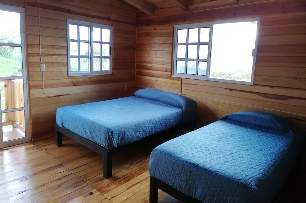 Photo of Bedroom in Marcos Castellanos