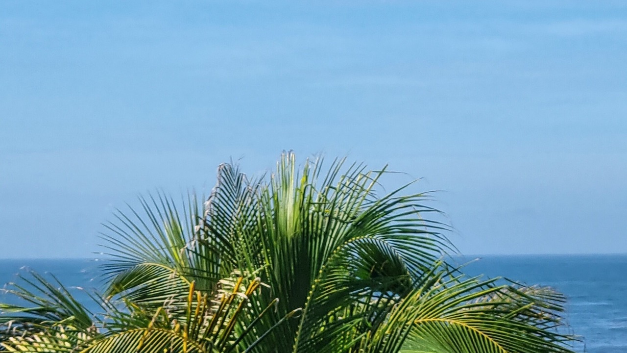 Photo of Outdoor in El Paredon