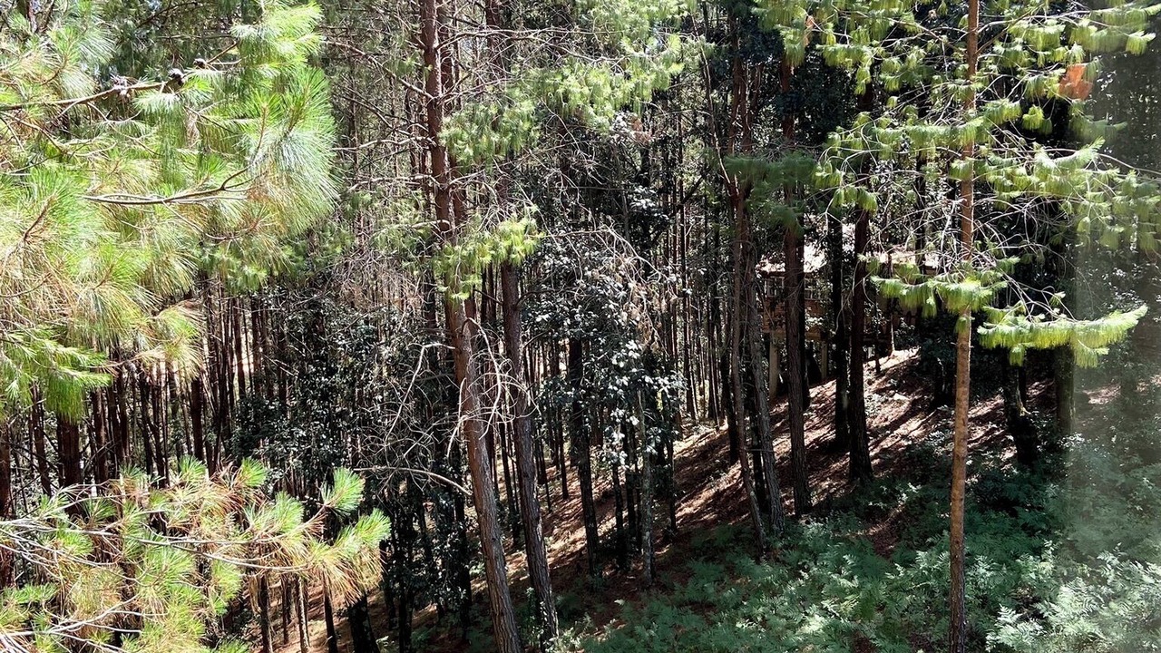 Photo of Outdoor in Zacatlan