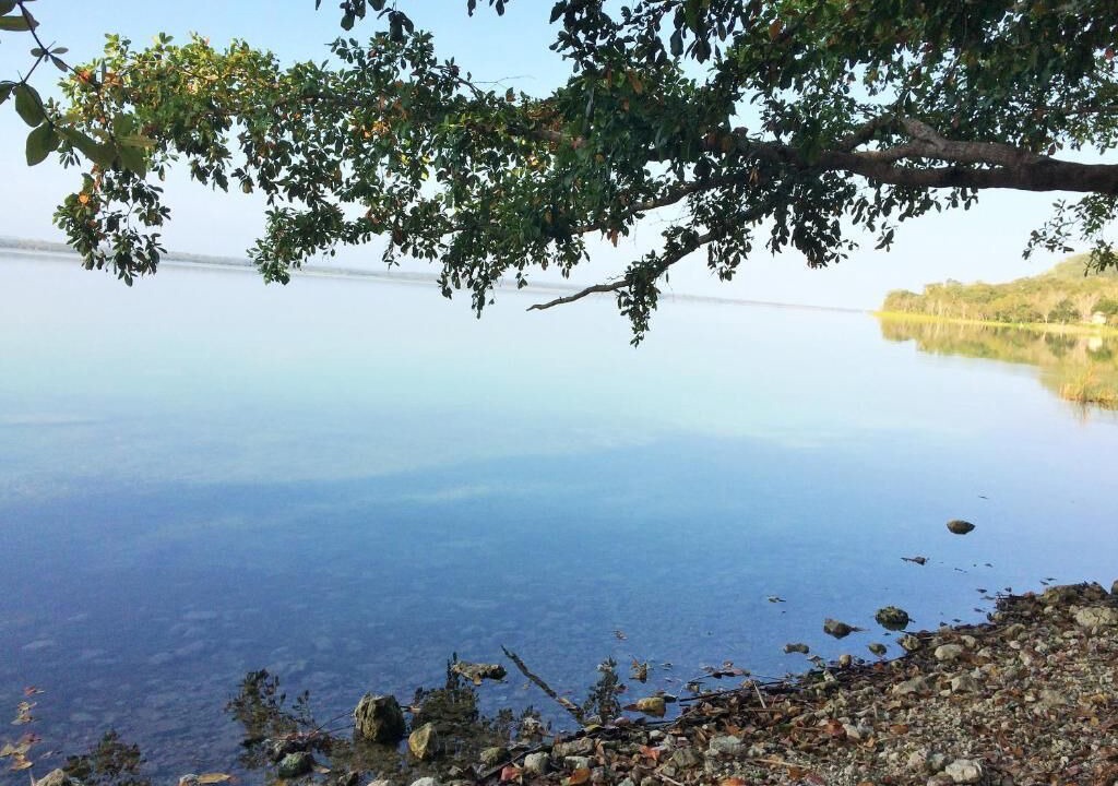 Photo of Outdoor in El Remate