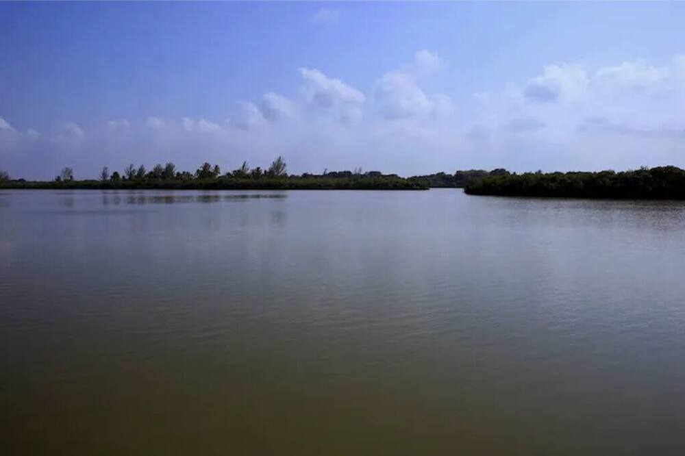 Photo of Others in Tuxpan