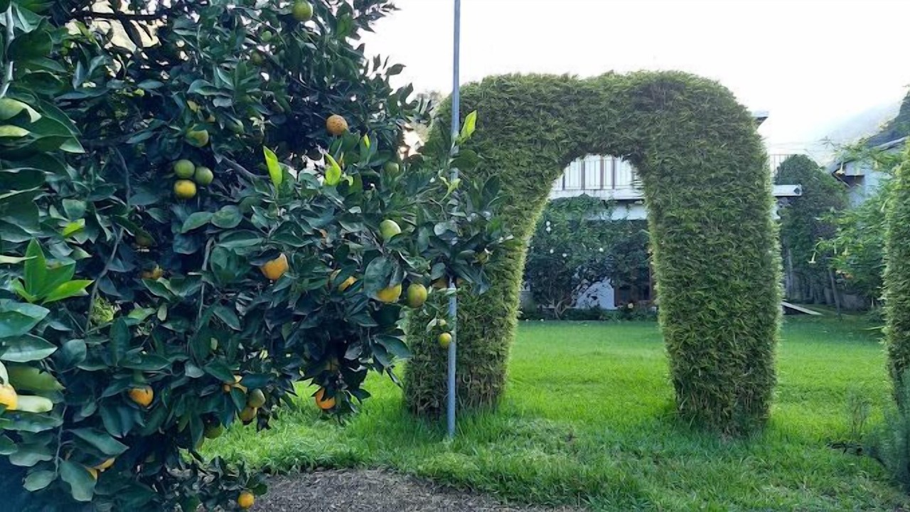 Photo of Outdoor in Santa Ana